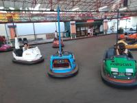 bumper-cars-2-2024