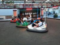 bumper-cars-5-2024