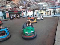 bumper-cars-6-2024