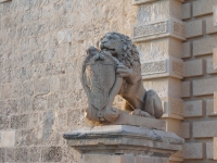 Mdina Lion