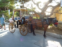 Mdina Excursion - 01