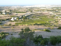 Mdina Excursion - 12